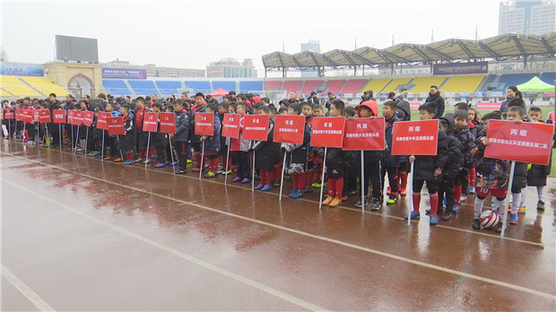 陕西省青少年足球锦标赛宝鸡渭南,渭南市华山杯足球比赛cctv5