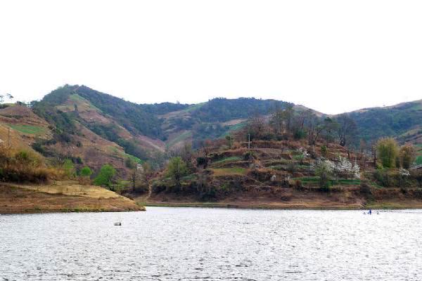 鲤鱼怎么做肉质劲道,钓鱼人喜欢鲤鱼吗