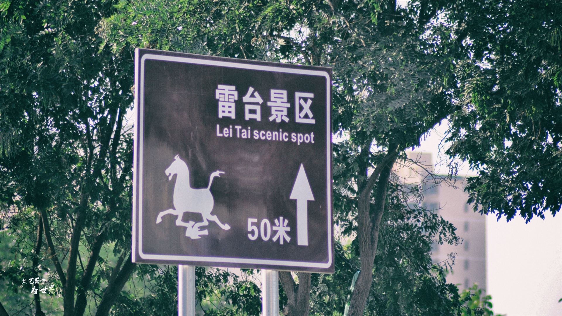 真实的铜奔马为啥图片不一致,铜奔马的独特之处