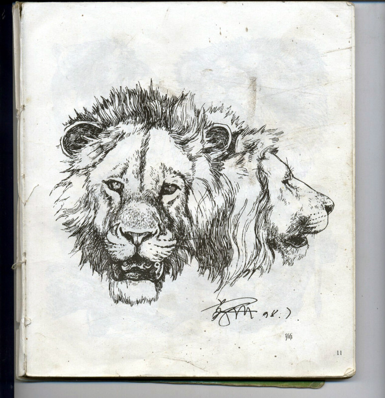 一百幅动物素描,近百幅动物画