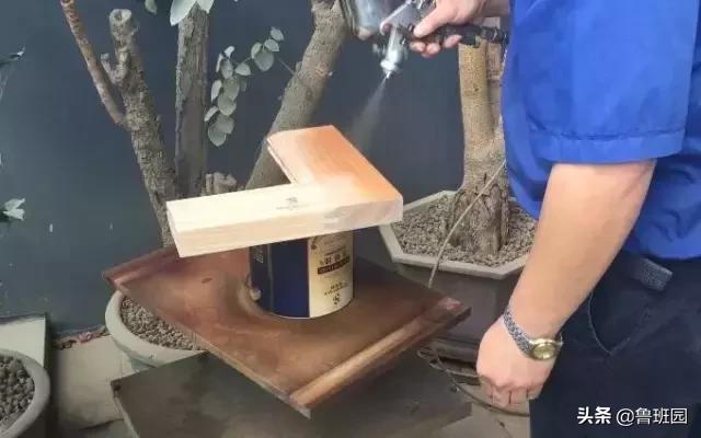 柚木为什么是万木之王,缅甸柚木为什么叫万木之王