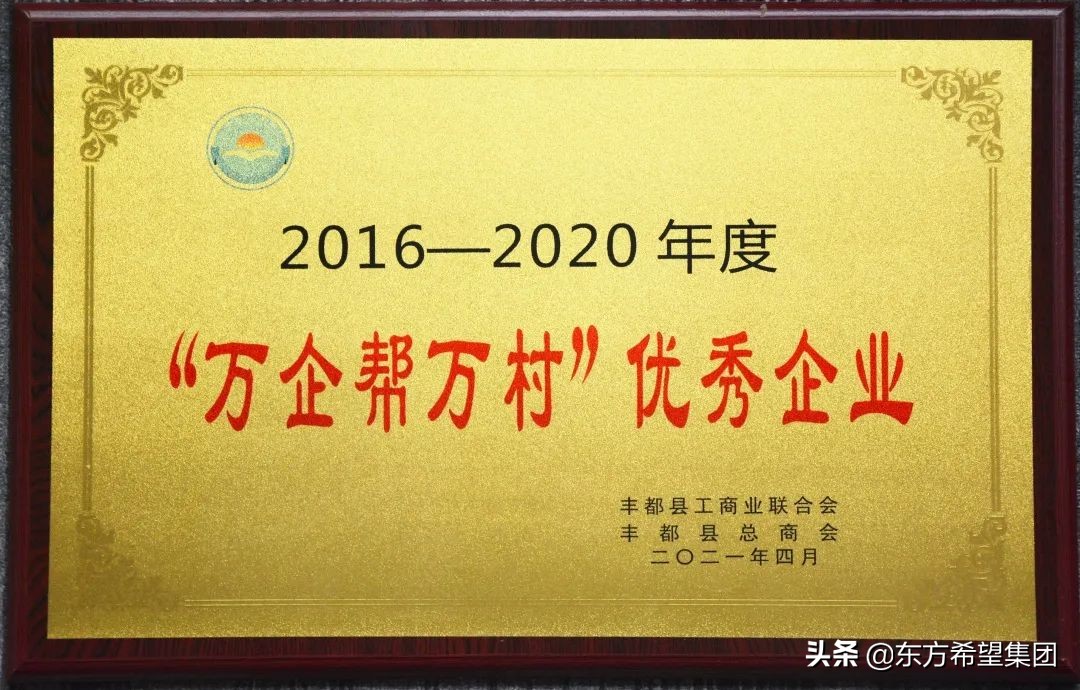脱贫攻坚成就总结宣传片,东方希望集团丰都水泥有限公司