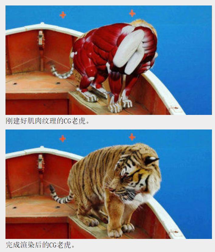 肌骨模型,骨肌仿真模型