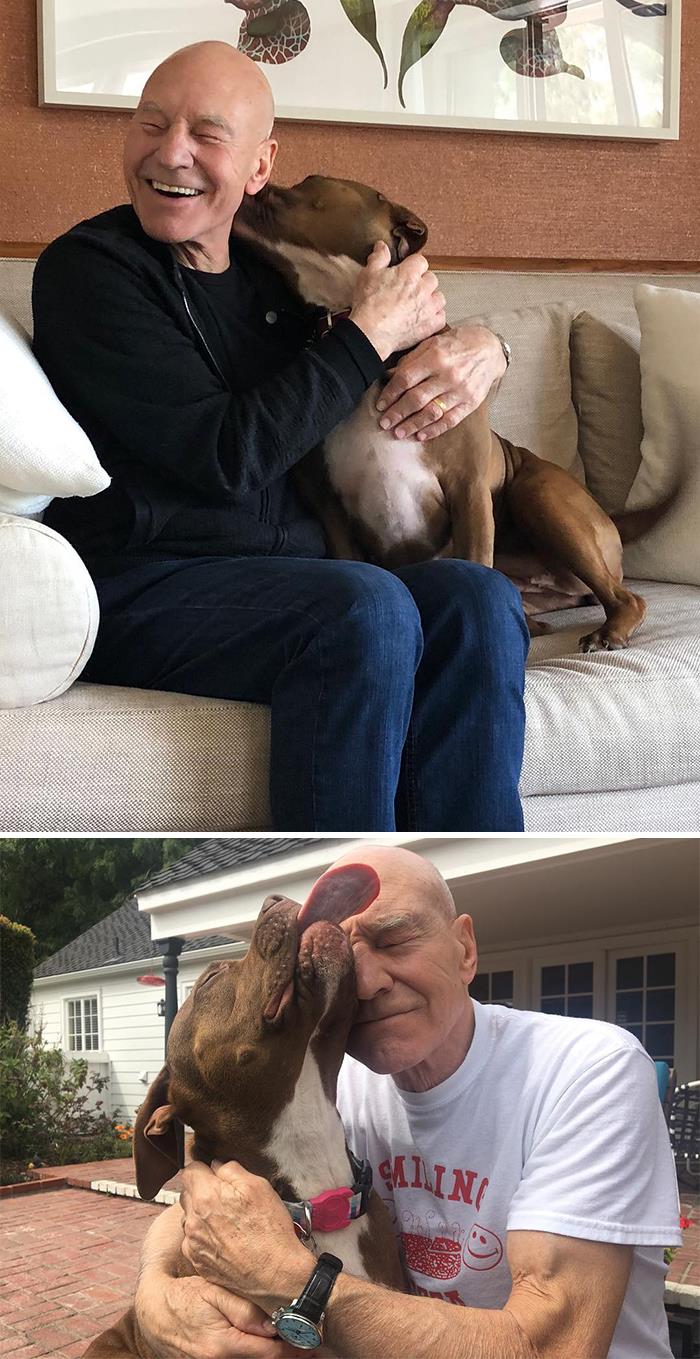 巨石强森和大狗是亲兄弟吗,巨石强森养了什么狗