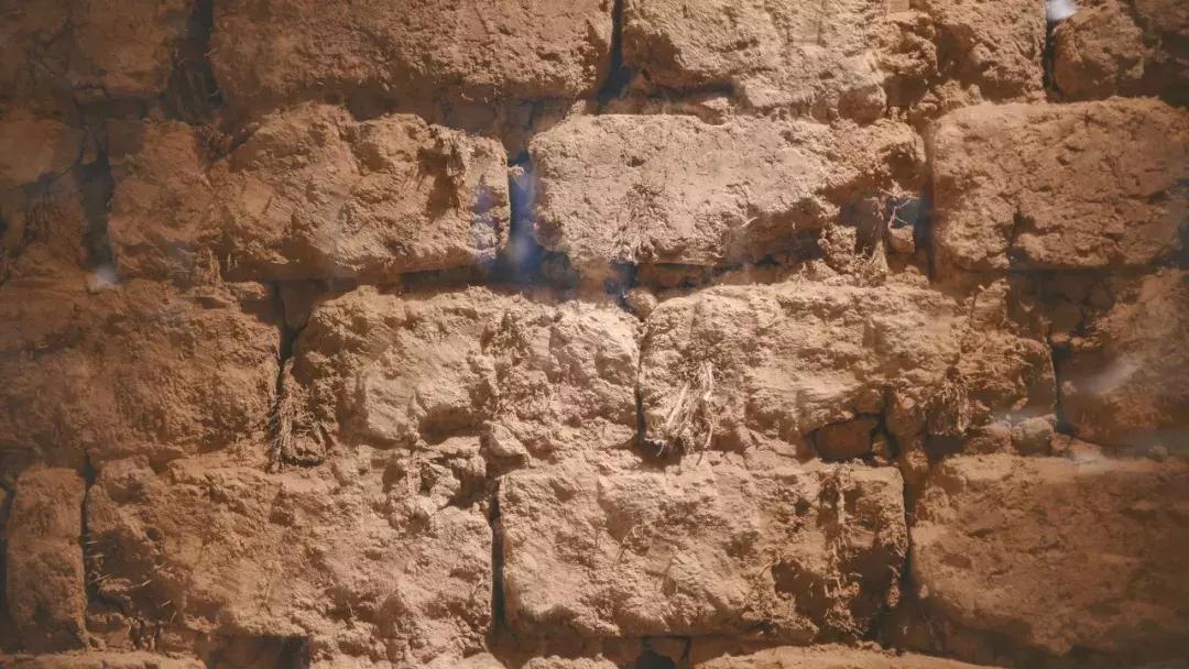 鲜花水果饮品集合店,鲜花果蔬茶饮