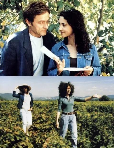 法国不止于浪漫,法国高傲又浪漫