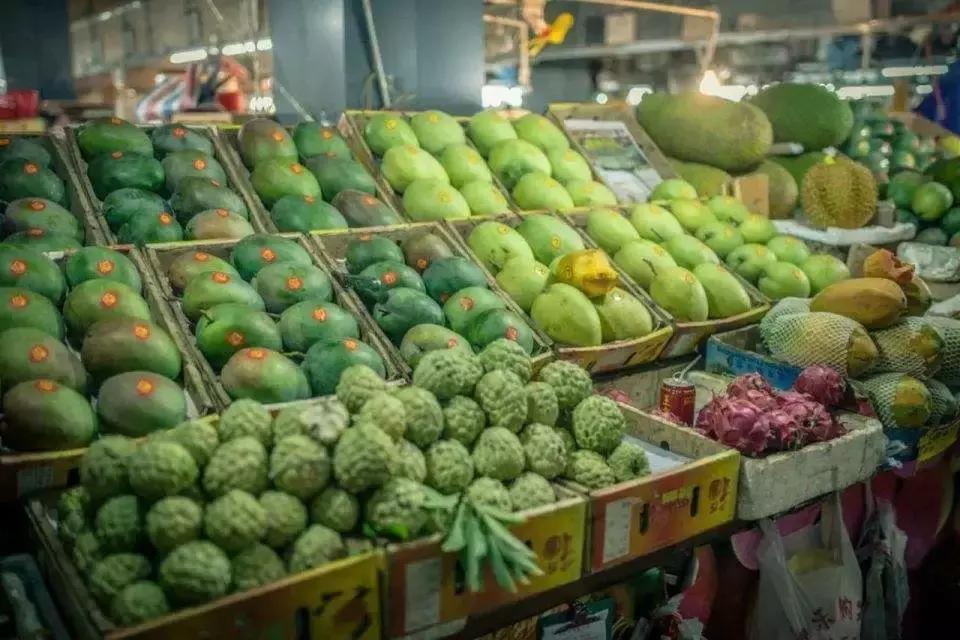 正宗的凤梨释迦黄泥土可以种植吗,凤梨释迦怎么种植