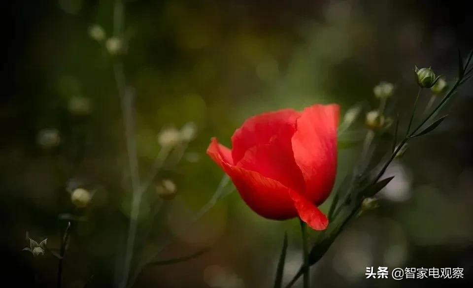 速热式电热水器好用吗,速热式电热水器好不好用