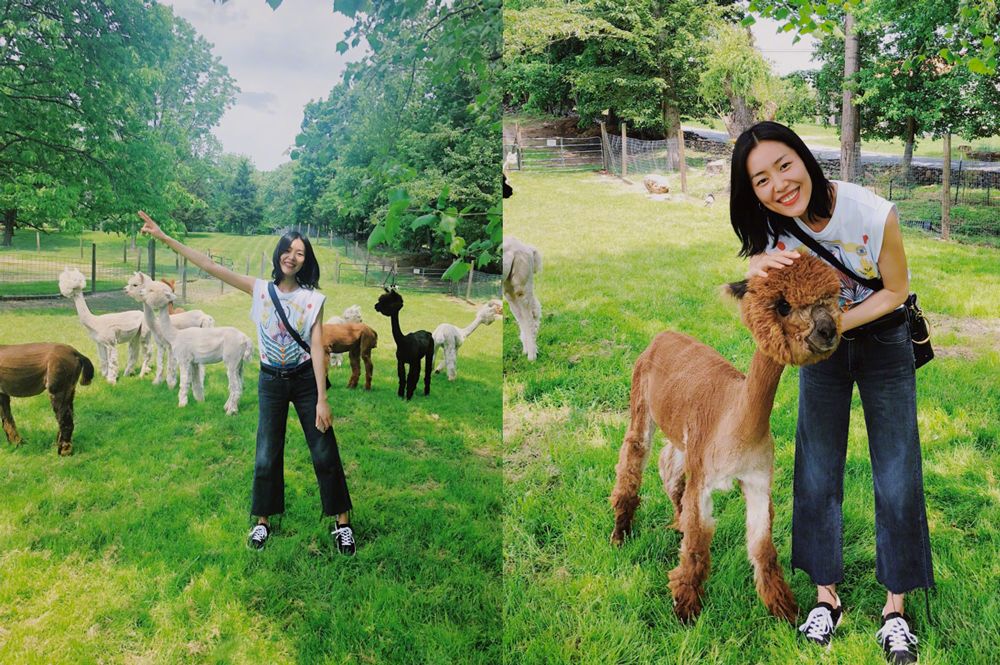 适合腿瘦的穿的新款阔腿裤,冬天不粘腿阔腿裤推荐