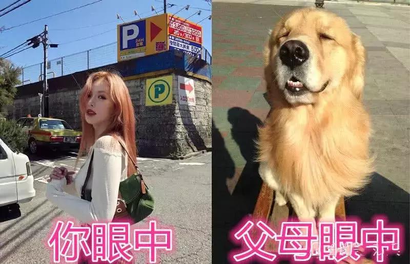 适合自己在家染的发色,今年最流行的发色染了就不想换