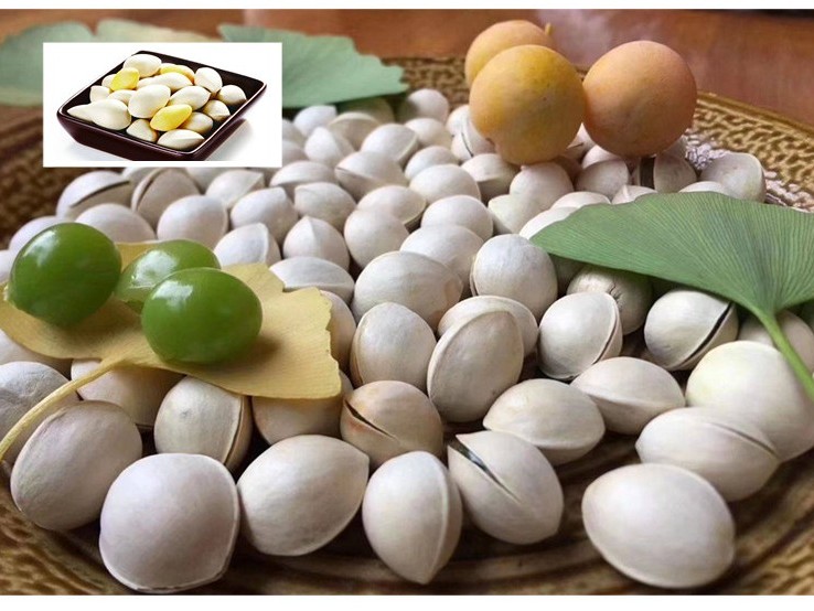 四川白果猪肚汤,白果猪肚鸡做法