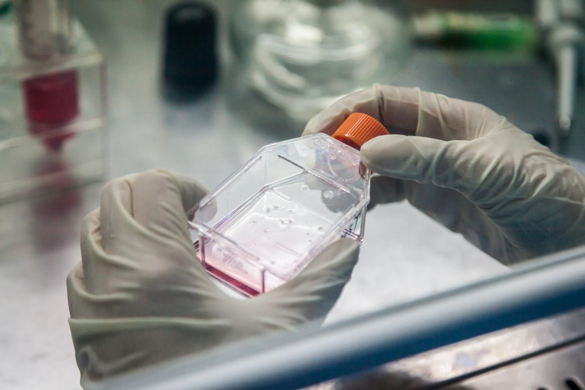 38万可以做什么,38万能做什么