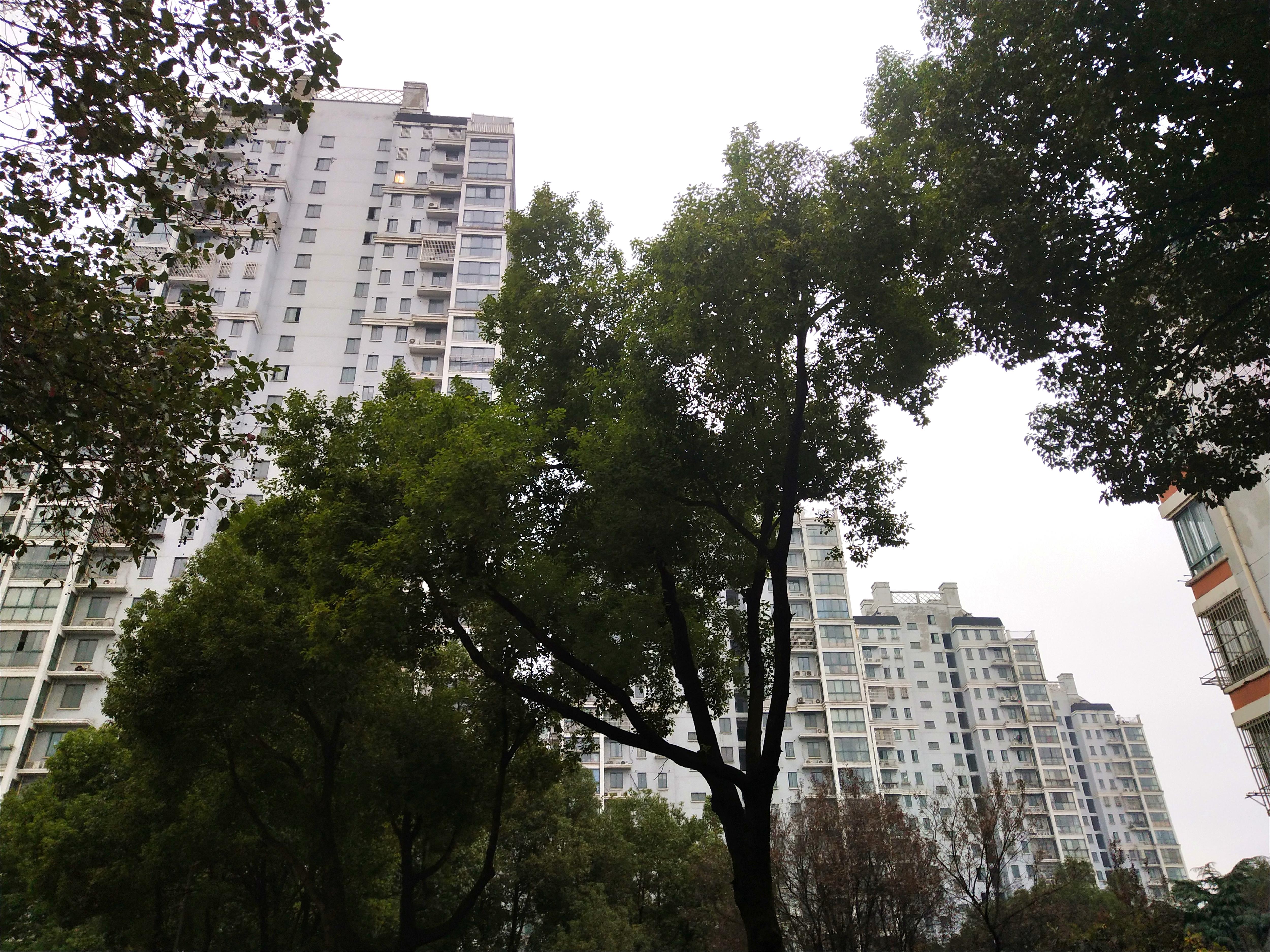 南阳3500一平方的经适房,老城区的经适房小区