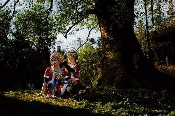 探寻湘境|不到绥宁，何以醉倒风情水乡花园阁？