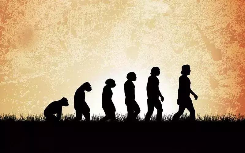 孕期屁股痛，该怎么办？