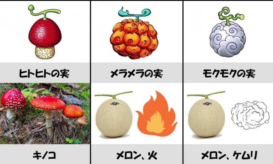 海贼王里恶魔果实怎么来的,海贼王里的恶魔果实真实存在