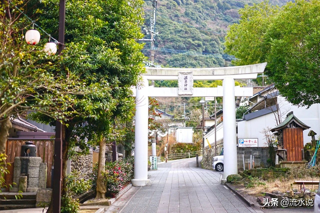 日本哪里的柚子好吃,日本北九州柚子