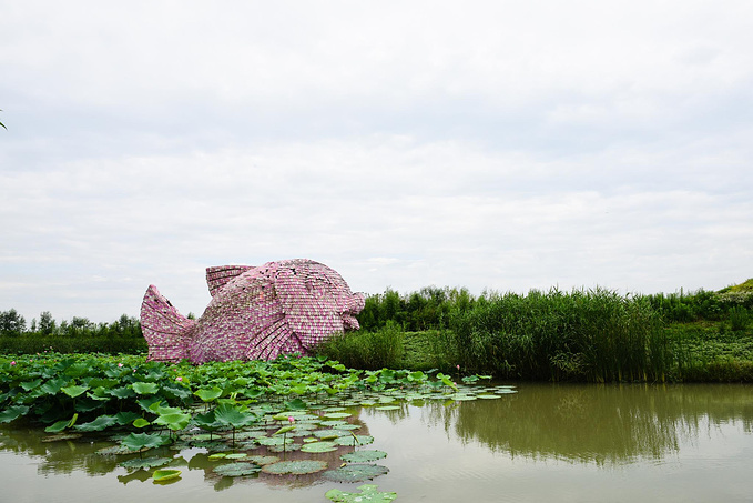乌村暑期夏令营，吃喝玩乐在这里
