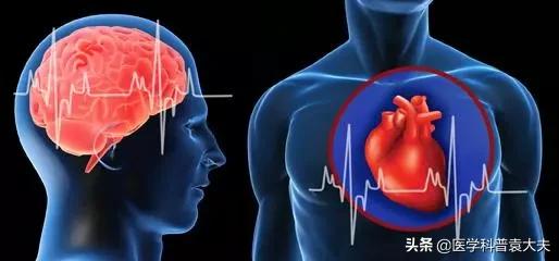 医生治疗心脑血管,医生科普心脑血管疾病