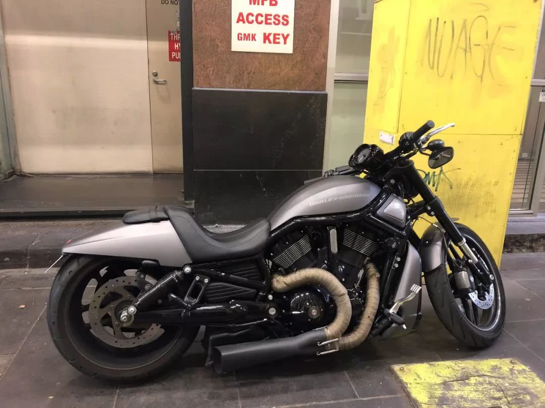 这地方是男人天堂,我们的大宝马也怕了