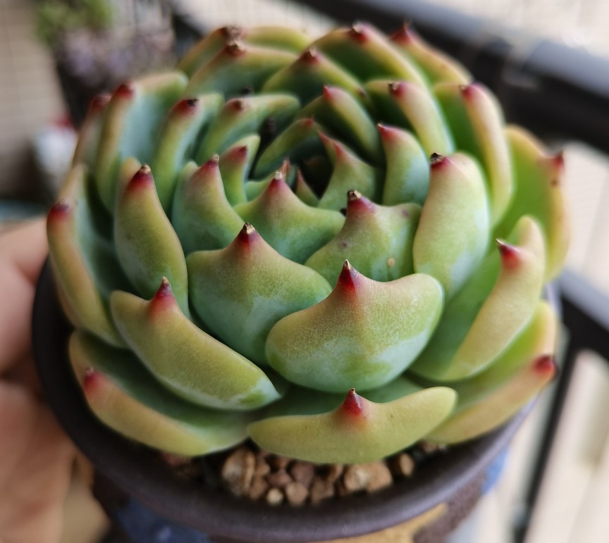 两个月过去了，十元以下的小东西都怎么样了？