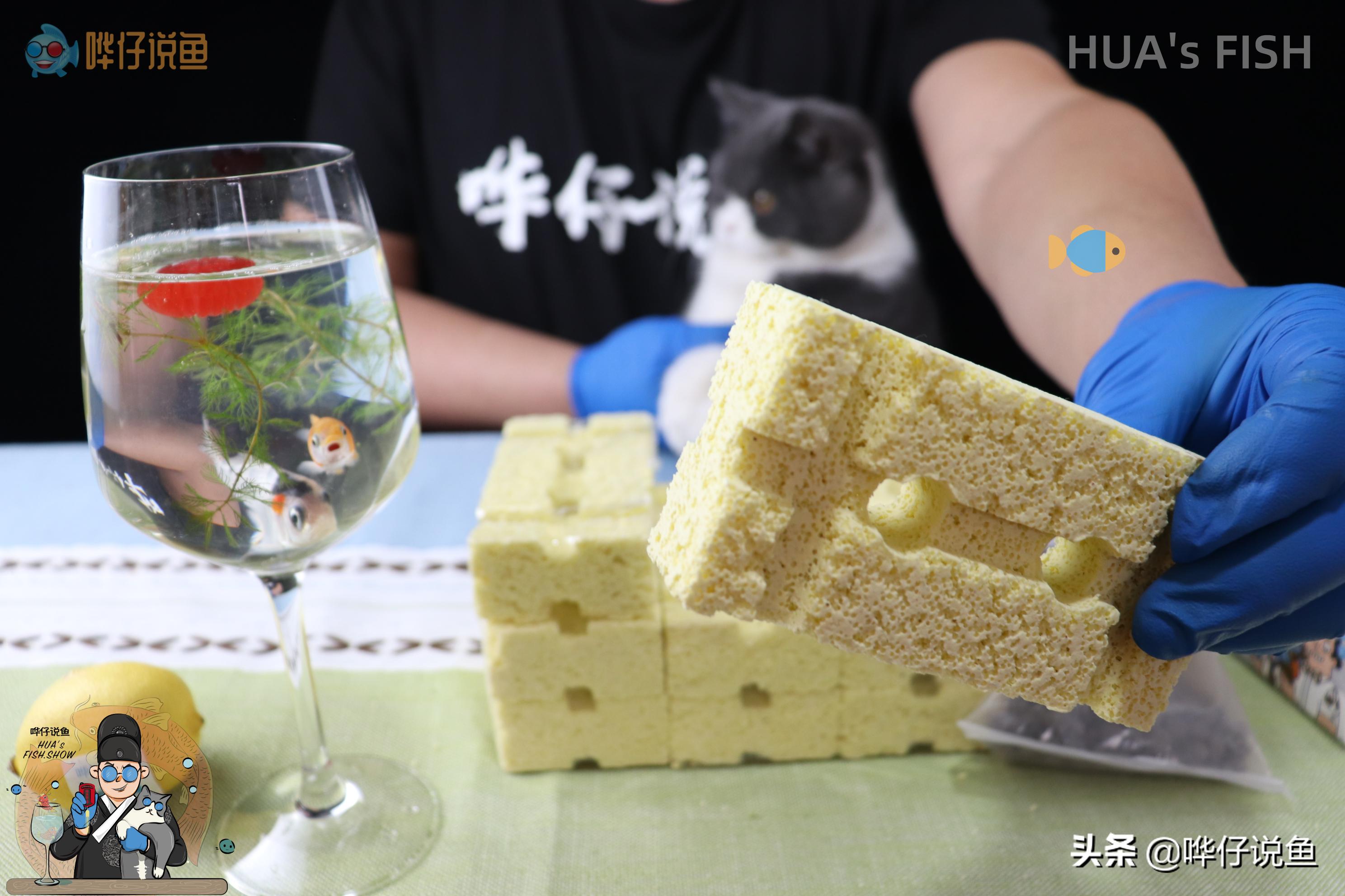 怎样选鱼缸滤材,新手该如何选择鱼缸滤材