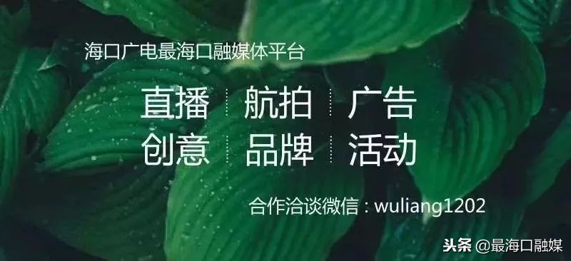 离岛免税政策免税税种包括,离岛免税的视频