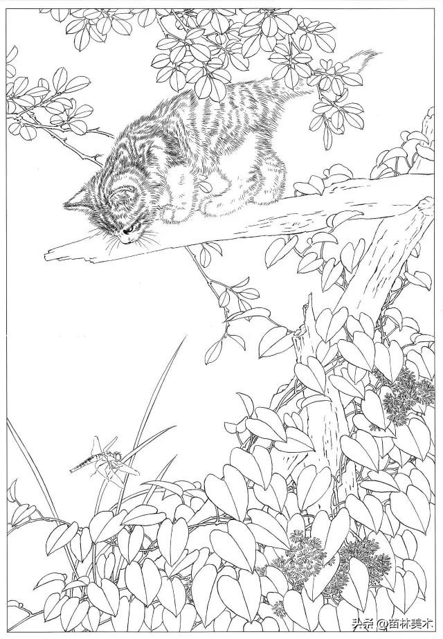 国画工笔猫白描,邢诚爱工笔画猫白描底稿