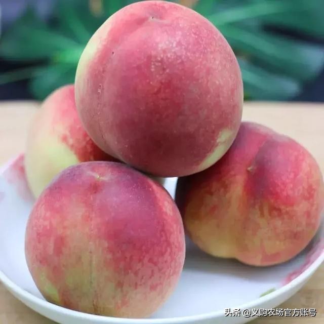 桃子价格暴跌,桃子价格28一斤