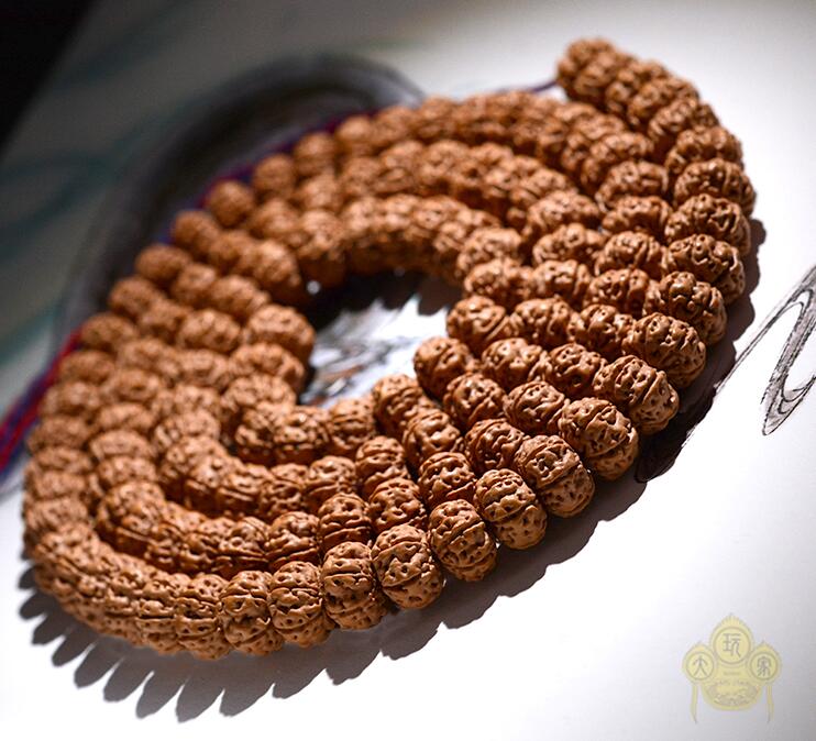 小金刚菩提中的极品,小金刚菩提果实