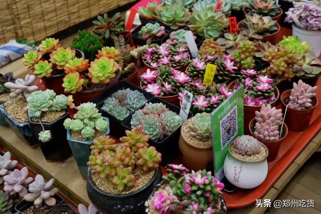 郑州各大批发市场一览表,河南郑州万邦国际农产品批发市场