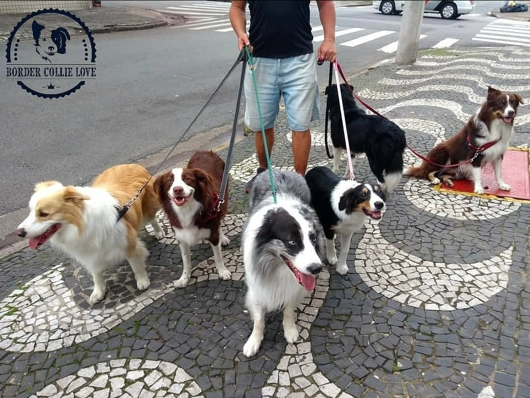 放下了七情六欲戴上金箍才能救你,带上金箍就不能有七情六欲了