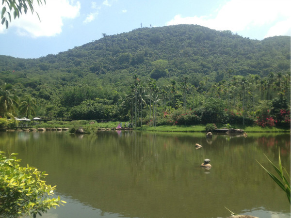 三亚自由行旅游攻略超详细哦,三亚旅游自由行全攻略