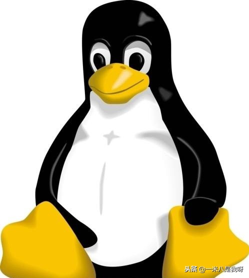 root用户的密码,怎么查目前的root密码