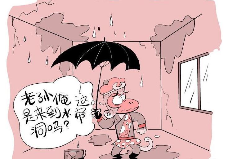 楼房漏水纠纷找什么机构处理,房屋漏水纠纷如何处理