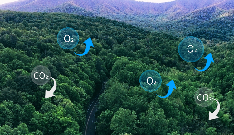 alondes欧朗德斯空气净化器m9s,alondes欧朗德斯空气净化器