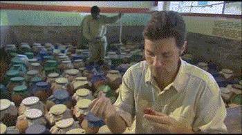 眼镜王蛇有多厉害？如果把它放到非洲会怎样，还能不能称霸一方？