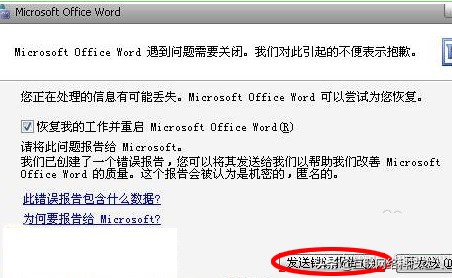 word文档打开向程序发送命令错误,word文档发错信息怎么办