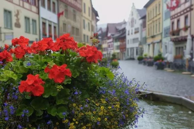 瑞士风光一览,欧洲瑞士的风景