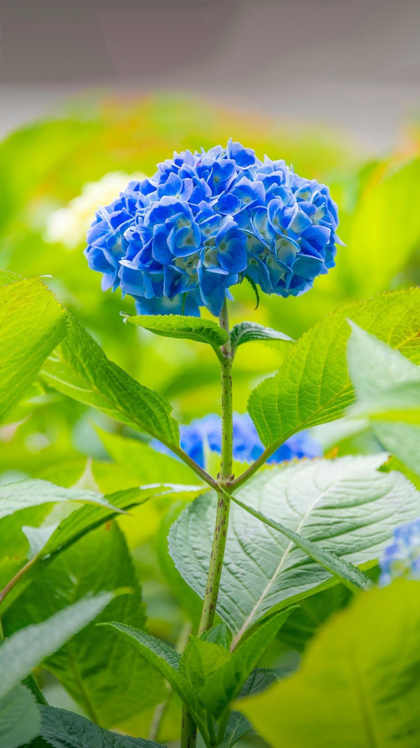 足球回看欧洲杯,足球集训归来