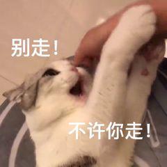 word空白页删不掉怎么处理,word空白页删不掉怎么办