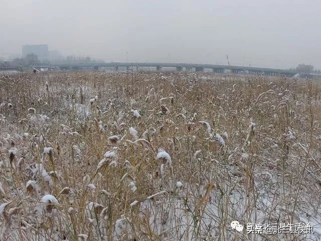 住在燕郊的真实体验,燕郊潮白河好去处