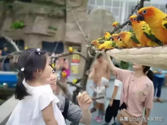 日照花仙子打卡地,日照东夷小镇旅游攻略