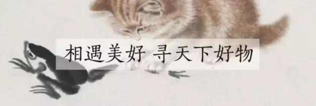 故宫十大御猫小崽儿,历史上真实的故宫御猫