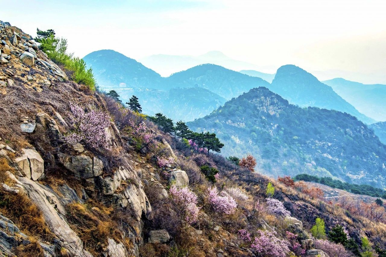 济南免费遛娃的地方,济南市十一带娃游玩好去处