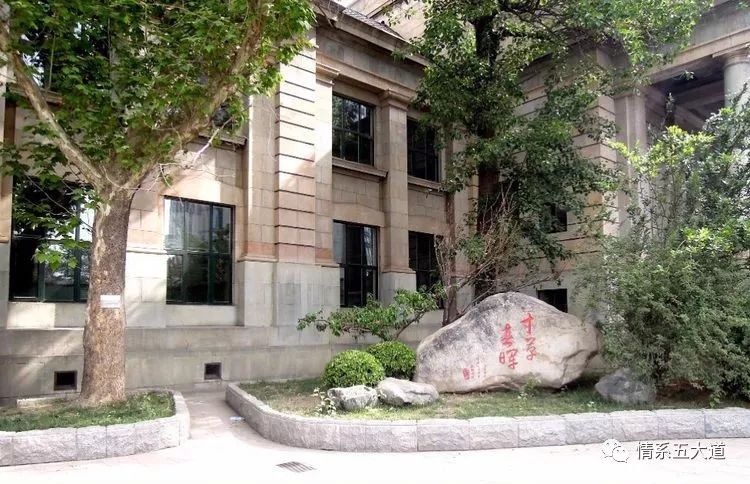 我的母校天津,我的母校20周年