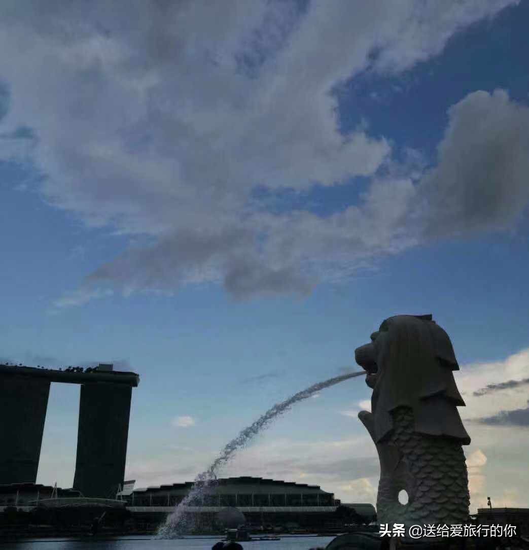旅居新加坡的华人,旅居海外的华人