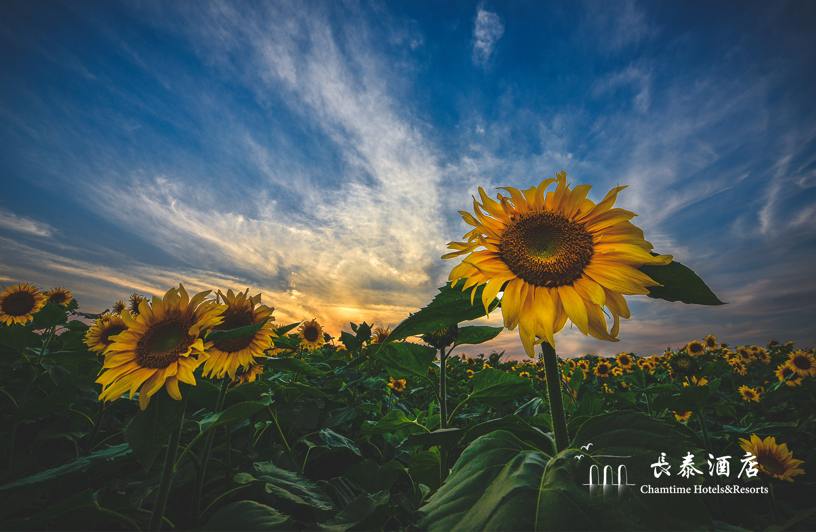 从托斯卡纳风到虹夕诺雅范儿，长泰洲颐酒店五周年“经历”了什么