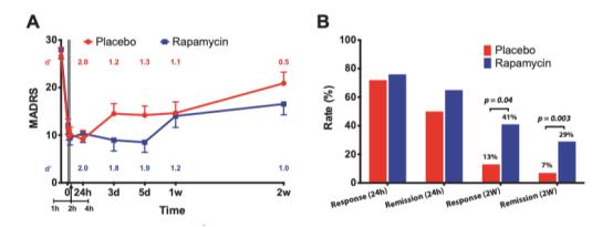 068期抑研报｜抗精神病药物如何影响患者大脑的结构？