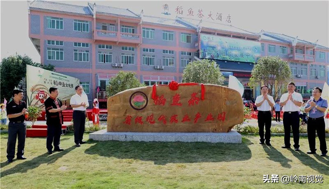 连南稻田鱼节效应显现,连南稻田鱼节开幕